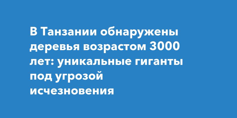 В Танзании обнаружены деревья возрастом 3000 лет: уникальные гиганты под угрозой исчезновения