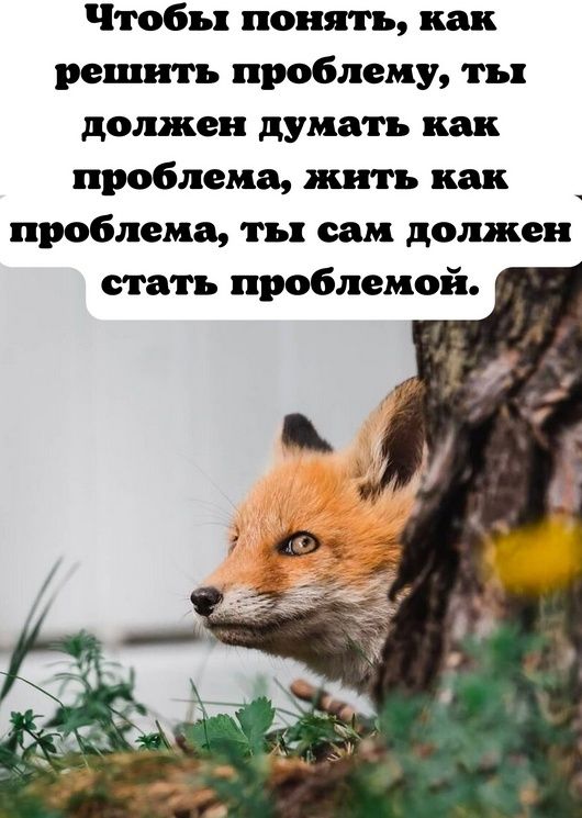    :      