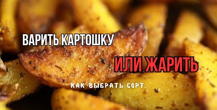 Как выбрать идеальный картофель: советы по варке и жарке