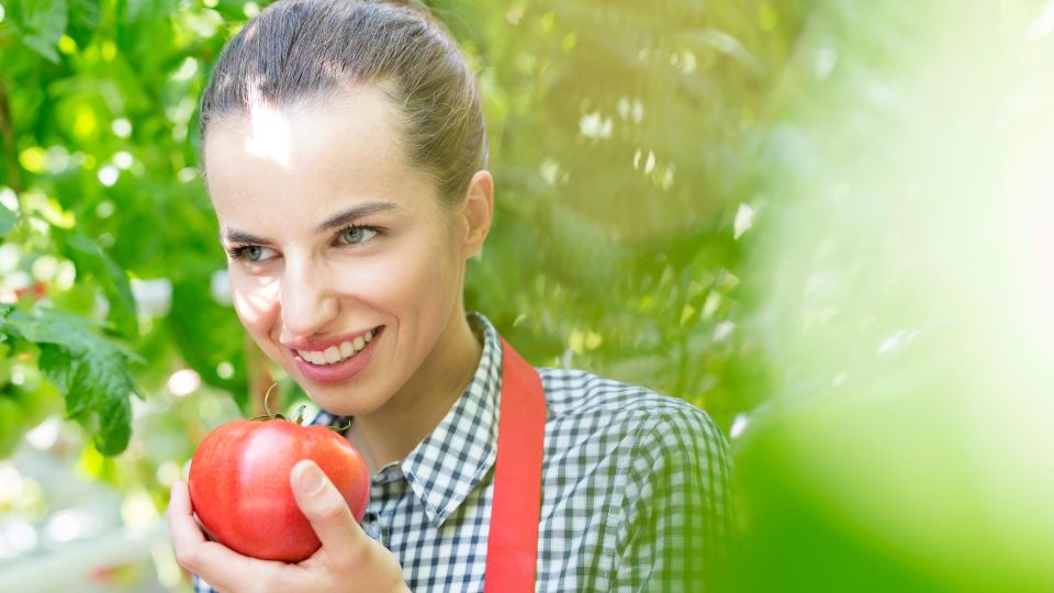 Не сажайте эти овощи рядом с помидорами: загубите весь урожай