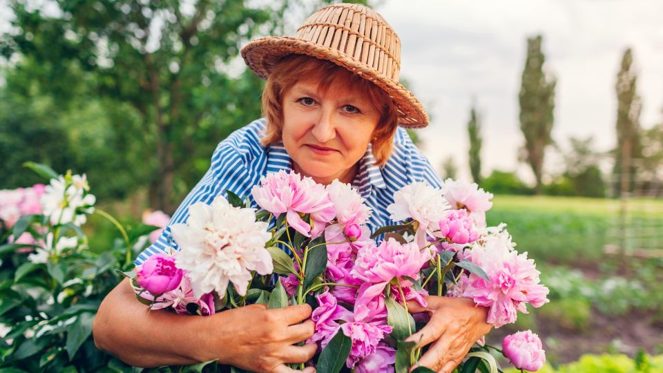Пионы порадуют пышным цветением: на майских раскидайте по почве вот что