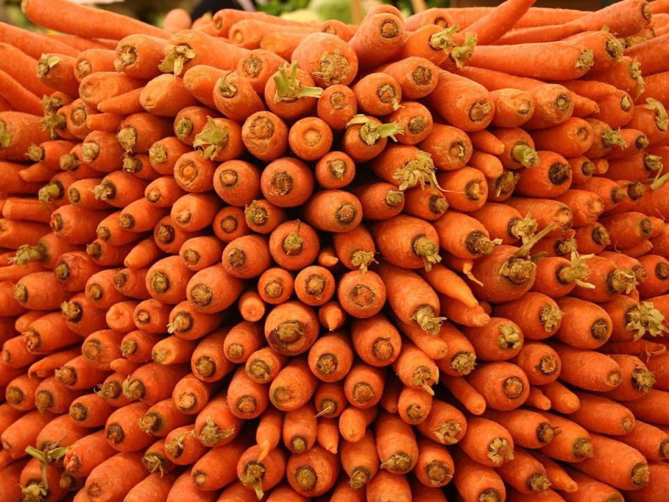 ��� ��������� �������� ������� �� ������: ������� ������� ��������