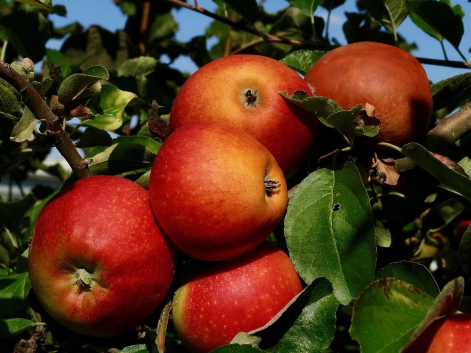 ���� ������ ����� 2025: ��� �������� ������� ������ �� ����