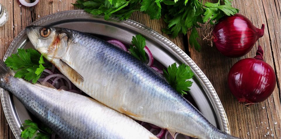 ������������� � ������������� ������: ������������ �������� � ��� ������� ������