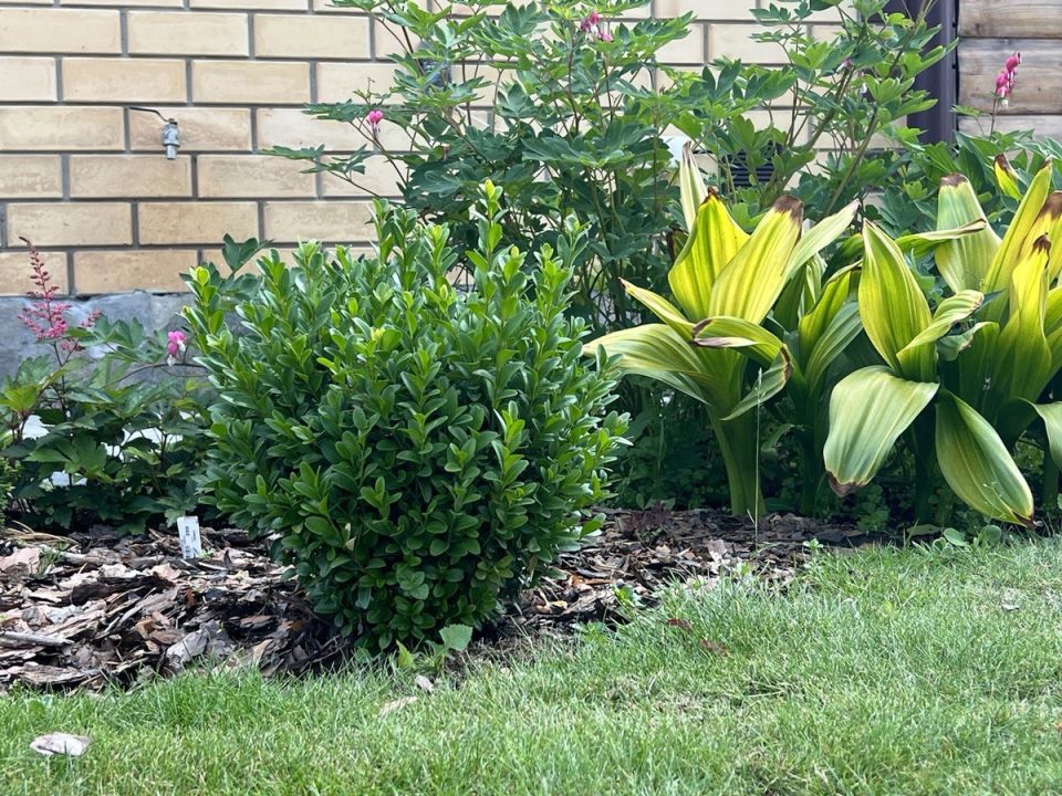 ������: ������� ��������� ����� �� ������������ �������� � �������� �������