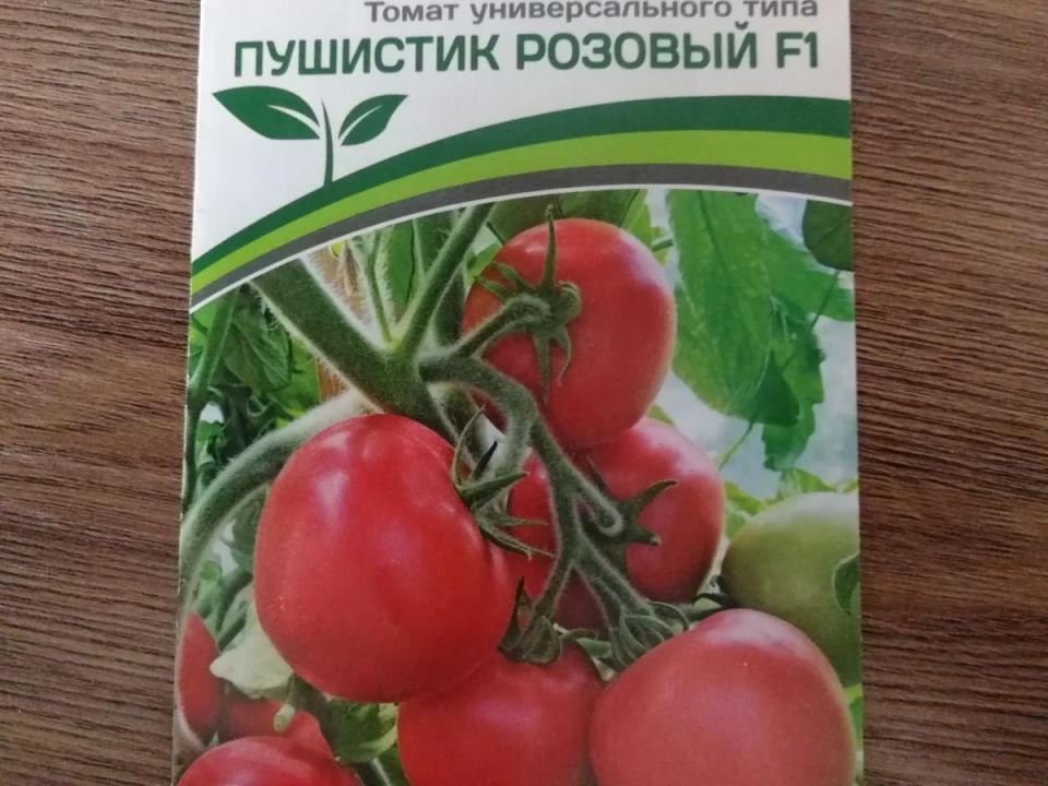 ���������� ����� ���������: �� �������� �� ������������