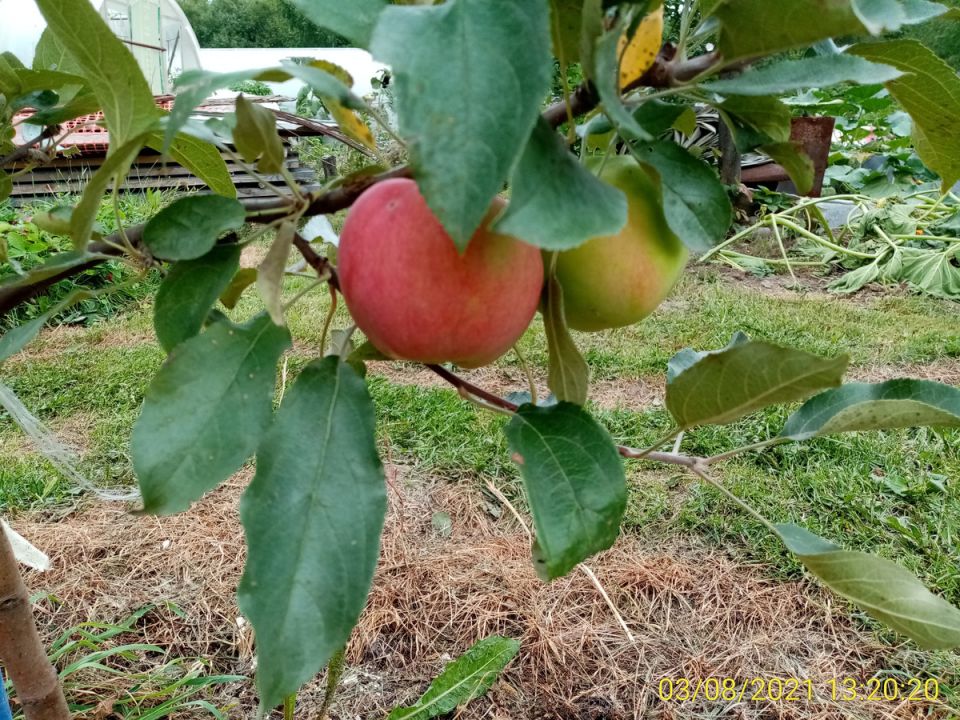 ����������������� ������: ��� ����������� ������� ��� � ������� �������