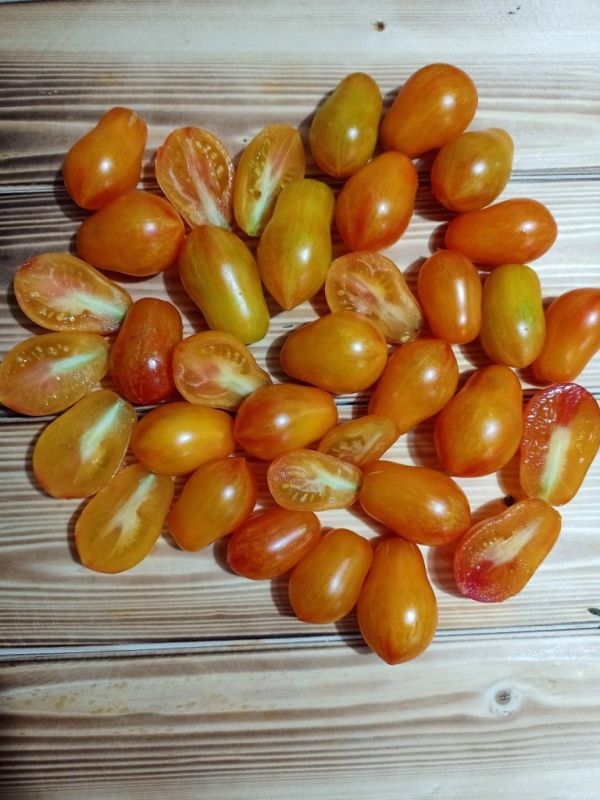 ������ ��� ������: ������������ ��� ���������� ������