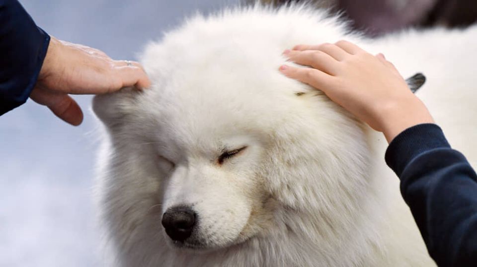 � ����� ��������: � ������ ��������� � ����������� �������� ��������