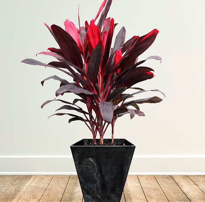 ���������: ��� ������� � ��������� �� ��������� ������ ���������