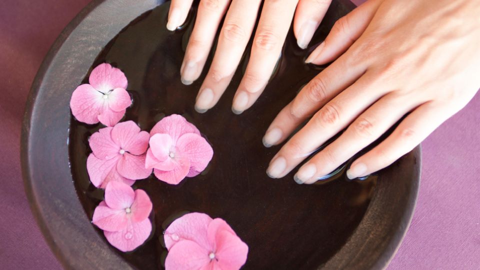 ����� ������� �����: ��������� �������� ��� ��������� ����� �������� �� ������ �����