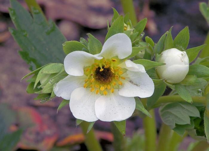 ��� ���������� � �������� ��������?