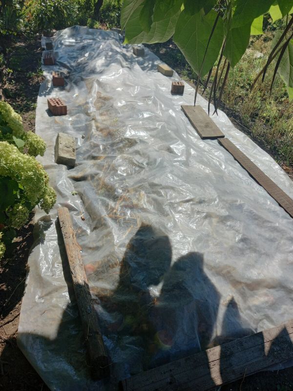 ������� �������: ��� ����� ������� ������������ ��������� ����� �� ����� �������