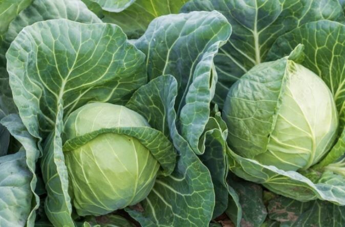 ������� ��������� ������� ������� �������: ���������� ��������� � ����