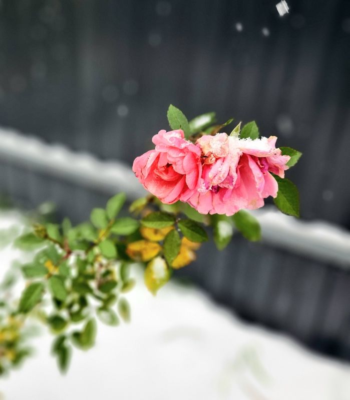 Ҹ���� ����: ��� ��� ������ �� �������� ������ ����