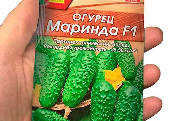 ������ �������: ������� ������������ � �������� �����