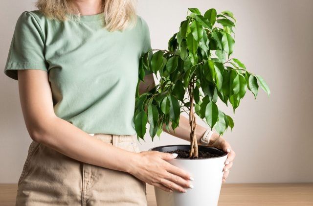 ����� ������: ��� �� ��������� � ������ ������ ��� ������ ����