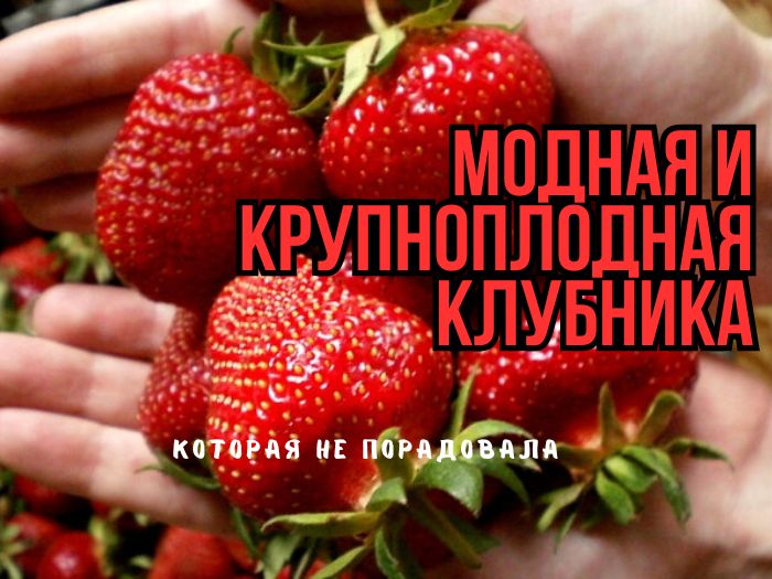 ���-3 ����� ��������, ������� �� ��������� ��������: ���� ���������