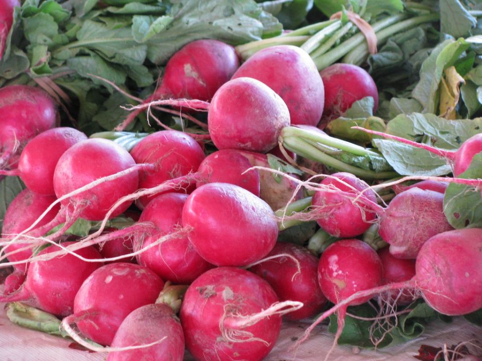 ������, ����� � ������: ������� ���� �����������, ������� ������ �������� �� ����