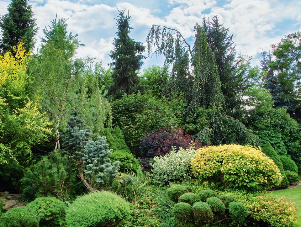 �������� � ����: ��� ������� ���������� �������