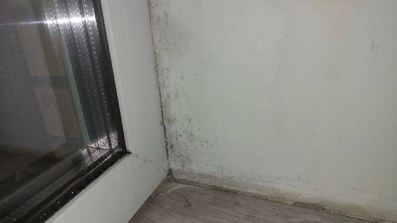 ��� ����������� �������� ��� �� �������: ������� ���� � ��������