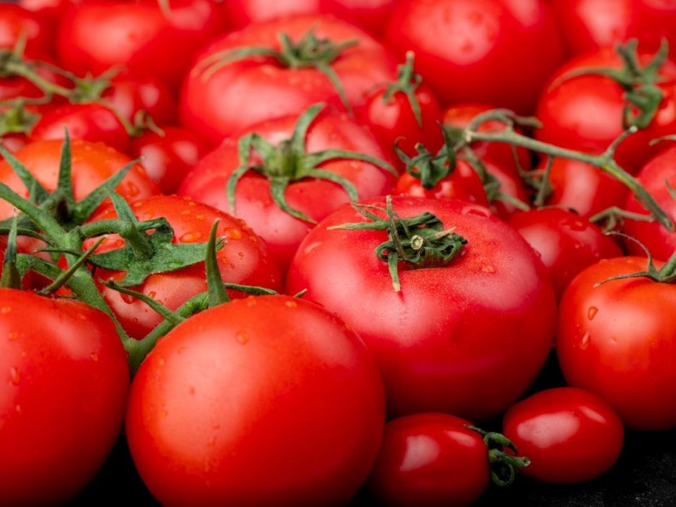 ����������� ������ �� ����� �� �������� � ������ ���