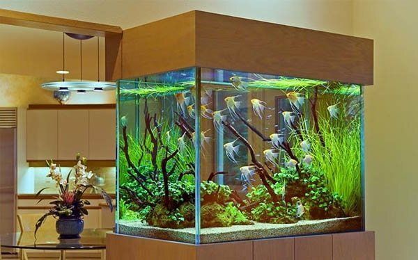 ��� ������� �������� � ����� ��� �������: ������ ���������