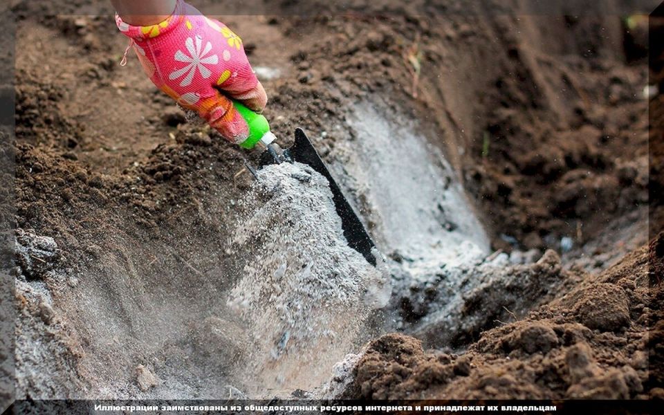 ������������ ����� � ����� ������� ������: ������� �������������� ����������