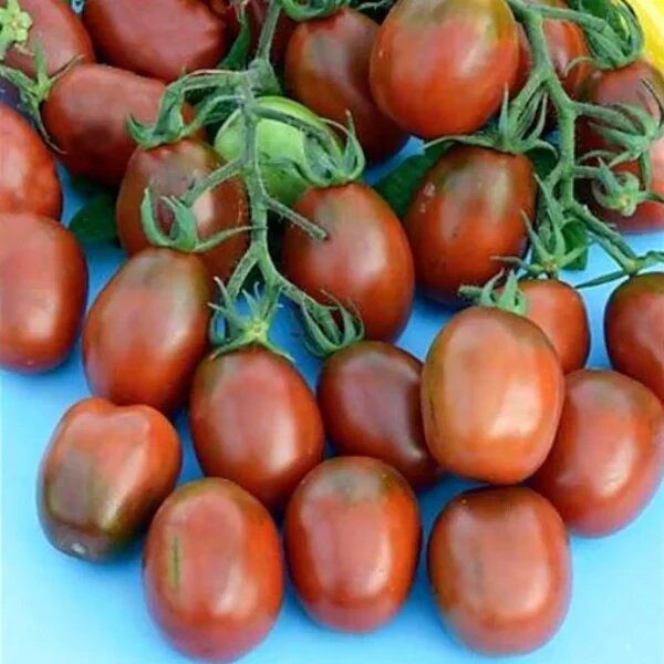 ����� ������ ����������: ������� ��������� ����������� ���������� ������