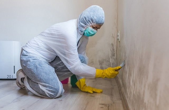 ��� ���������� �� ������� �� ������: ������ � ����������� ������