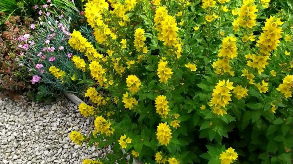 ��������� ����������: 10 ��������, ������� ����� ��������� ���� ����