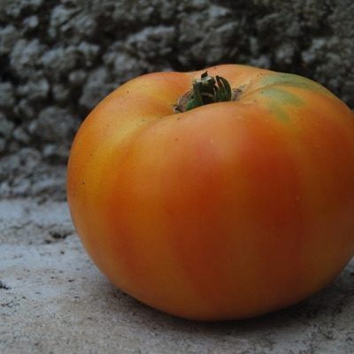 ����� ������: ��������� ����� � ���� �������������� ������