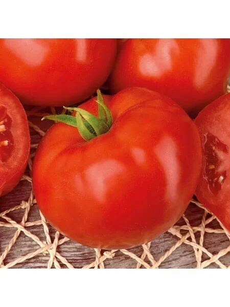 ����� ������: ������ ������ � ��������������� � �������� ������