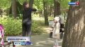 Юных ульяновцев приглашают к участию в III международном фестивале Все краски вдохновения детства