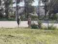 В Ульяновске проходит последняя санитарная пятница в этом сезоне
