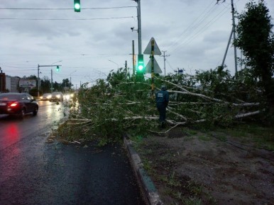 В Ульяновске устраняют последствия сильного ветра