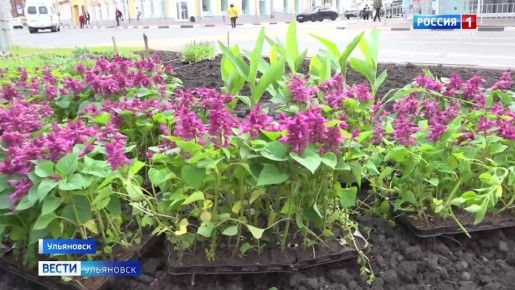Улица Гончарова заиграла новыми цветами