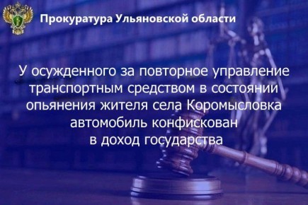 Ульяновский областной суд оставил без изменения приговор в отношении жителя региона