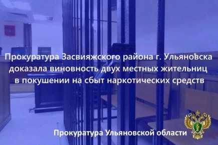 Засвияжский районный суд г. Ульяновска вынес приговор по уголовному делу в отношении двух жительниц областного центра