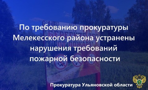Прокуратура Мелекесского района Ульяновской области провела проверку исполнения законодательства в сфере охраны лесов от пожаров