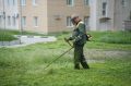 Глава Ульяновска Александр Болдакин поручил ускорить покос травы во дворах