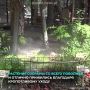 Ульяновский зоопарк продолжает расти и развиваться