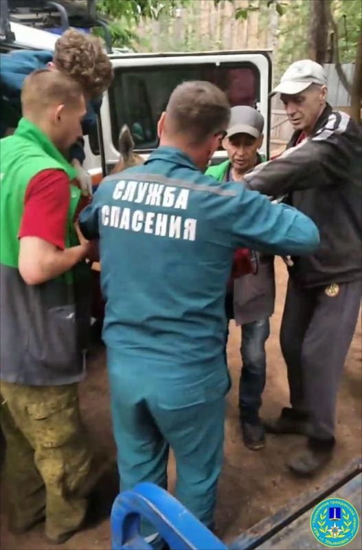 Косулю спасли в Заволжском районе