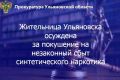Железнодорожный районный суд г. Ульяновска вынес приговор по уголовному делу в отношении жительницы областного центра