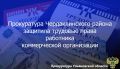 Прокуратура Чердаклинского района Ульяновской области провела проверку по обращению местного жителя