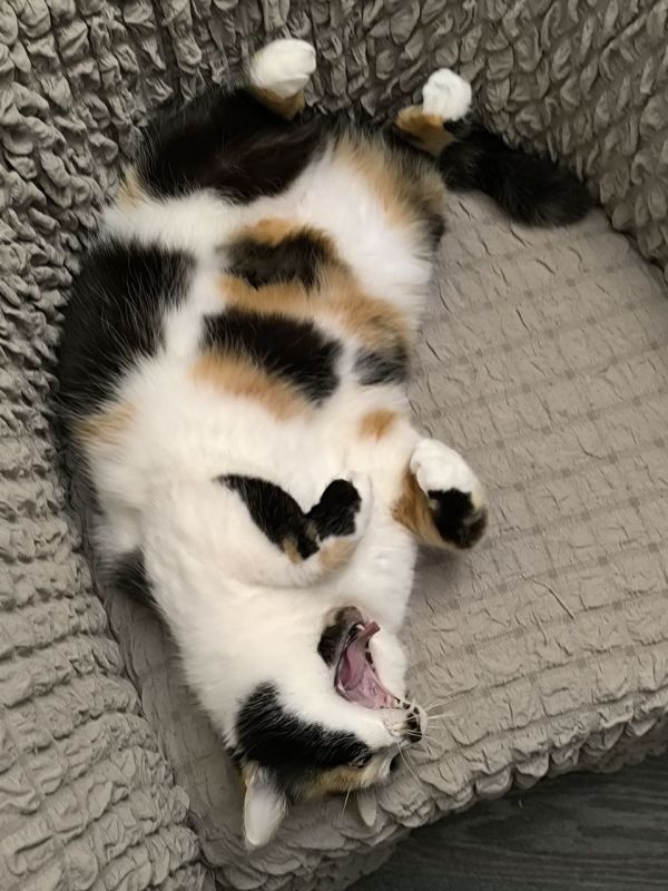  , !. , 25 ,    ,  ,          