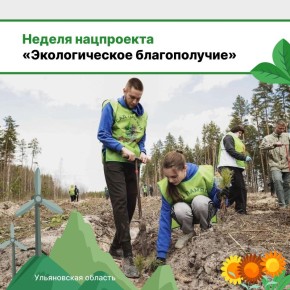 До конца этого года по нацпроекту «Экологическое благополучие» в муниципалитетах восстановят 23 родника
