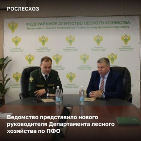 Замруководителя Рослесхоза Михаил Козлов представил коллективу департамента лесного хозяйства по Приволжскому федеральному округу нового руководителя Эдуарда Леонтьева