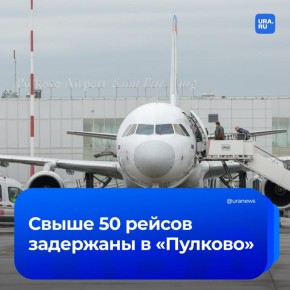  50         