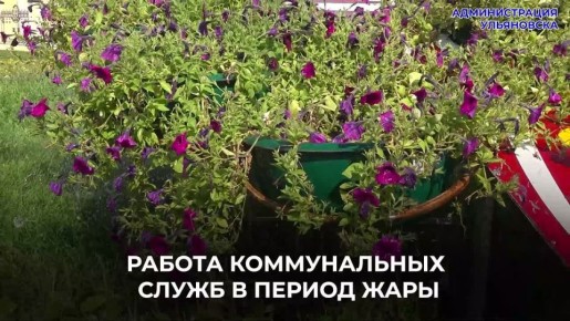  :          